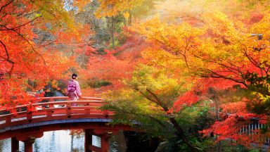 Japonsko - Jižní Korea Japonsko - Jižní Korea
